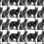59 BLACK CAT