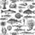 14 SEA LIFE