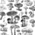 37 MUSHROOMS